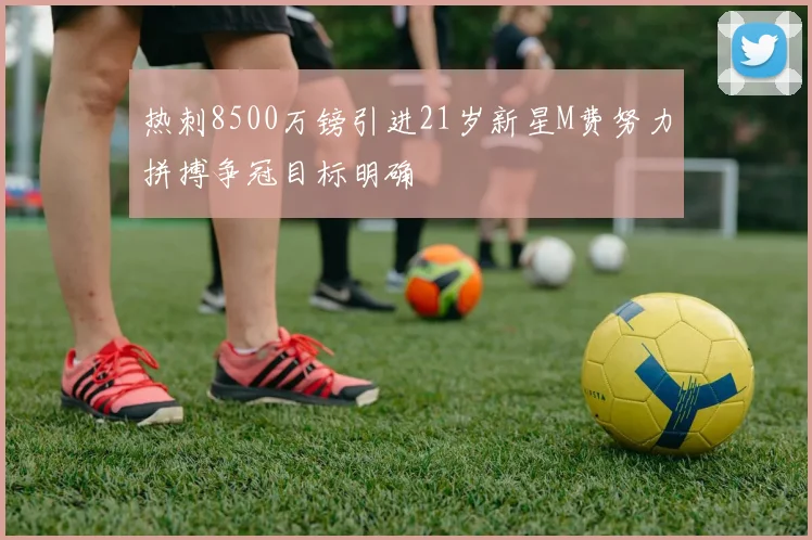 热刺8500万镑引进21岁新星M费努力拼搏争冠目标明确